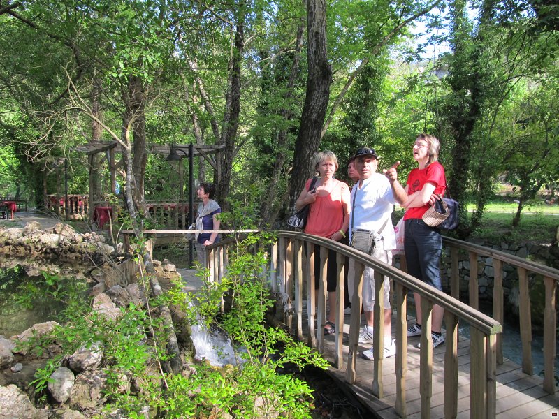 img00080.jpg