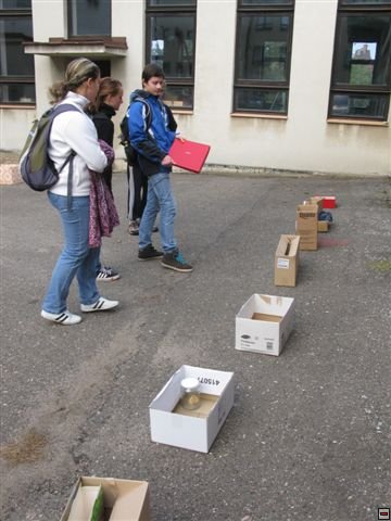 img00007.jpg