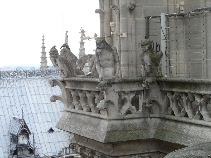 img00077.jpg