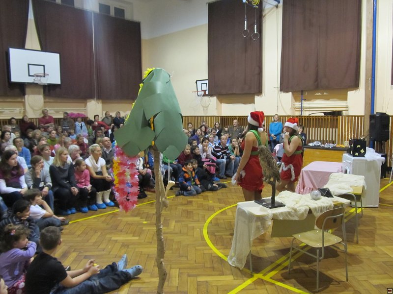 img00076.jpg