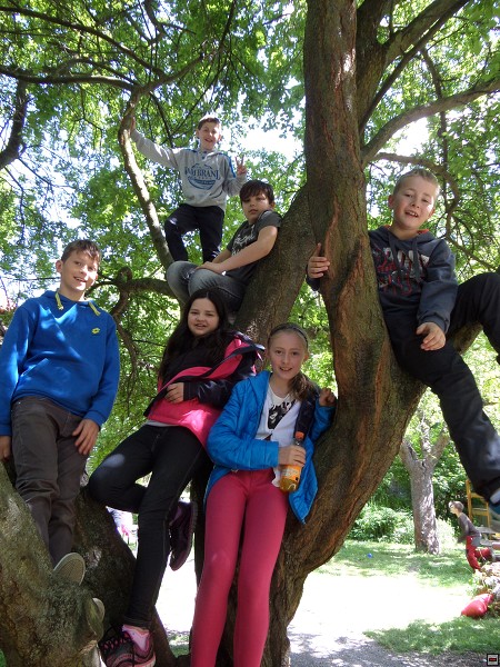 img00035.jpg