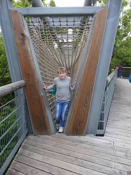 img00082.jpg