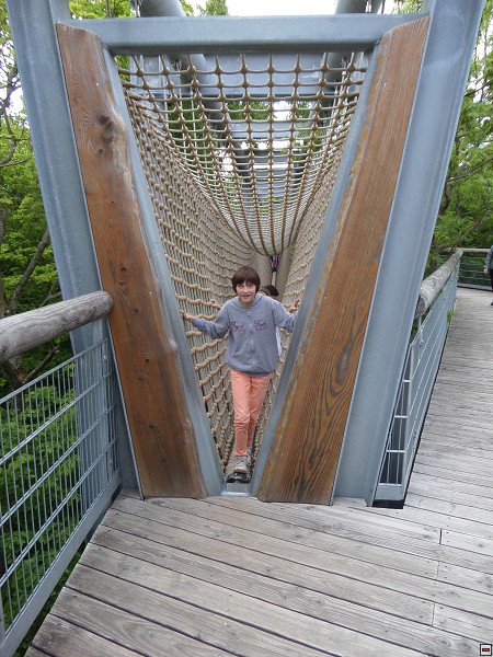 img00085.jpg