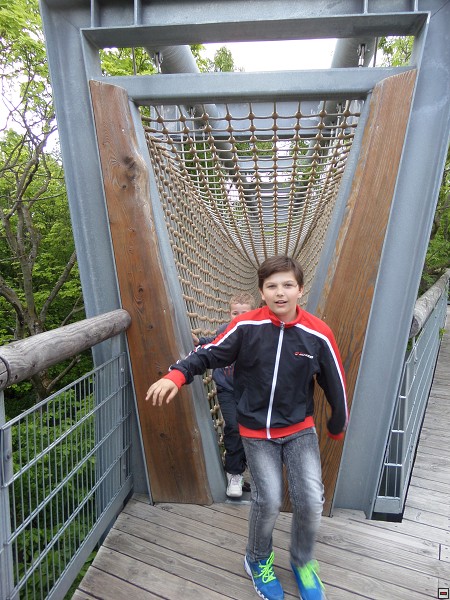 img00087.jpg