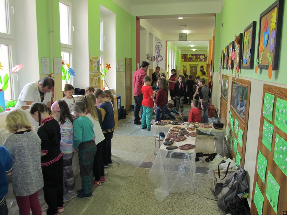 img00003.jpg