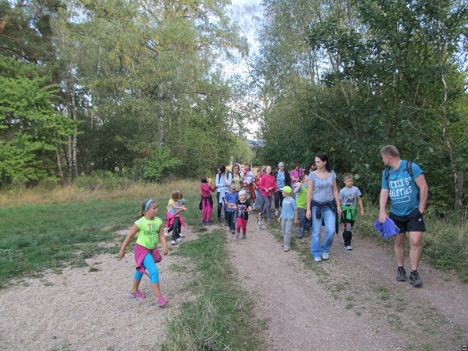 img00008.jpg