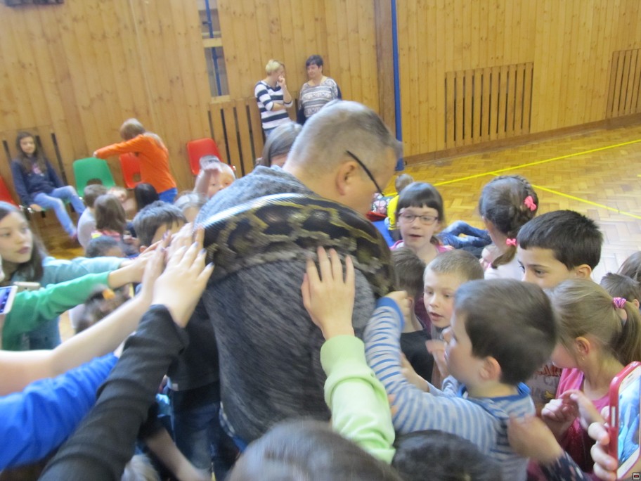 img00026.jpg