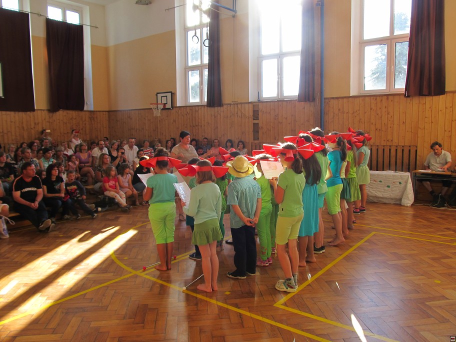 img00036.jpg