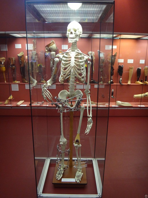 img00019.jpg