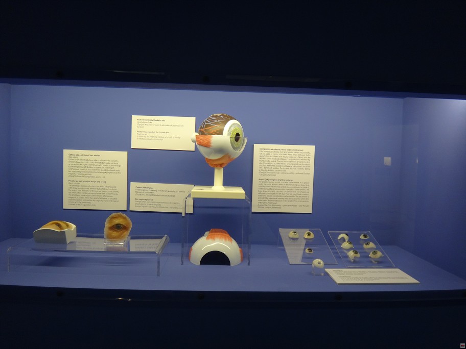 img00031.jpg