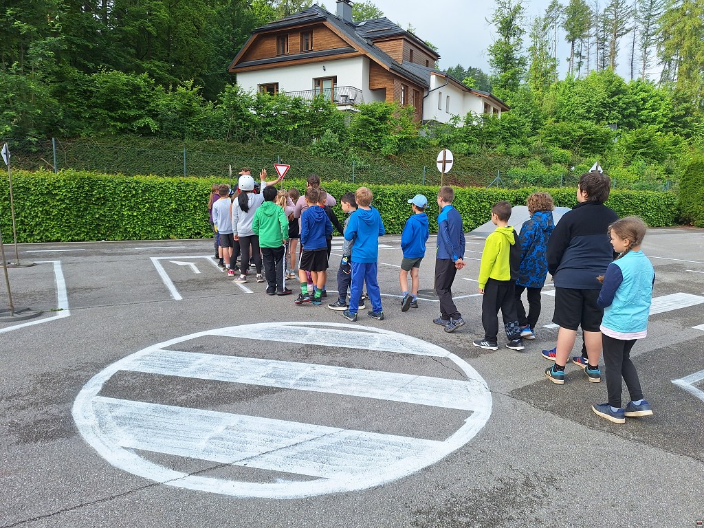 img00013.jpg