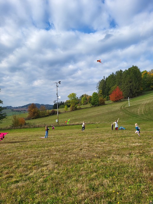 img00011.jpg