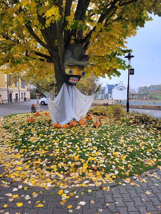 img00009.jpg