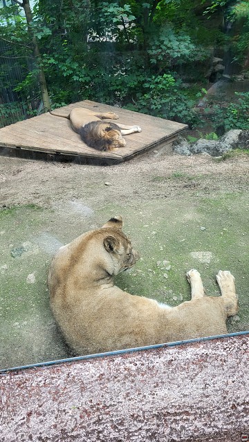 img00027.jpg