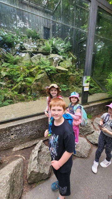 img00030.jpg