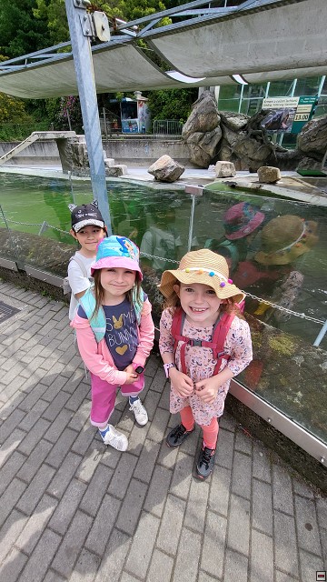 img00041.jpg