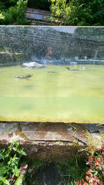 img00054.jpg