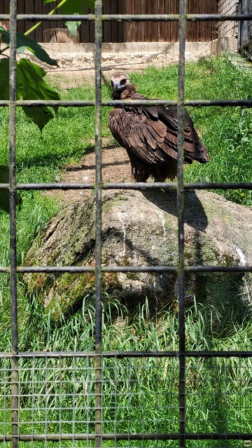 img00056.jpg