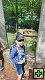 thn00028.jpg