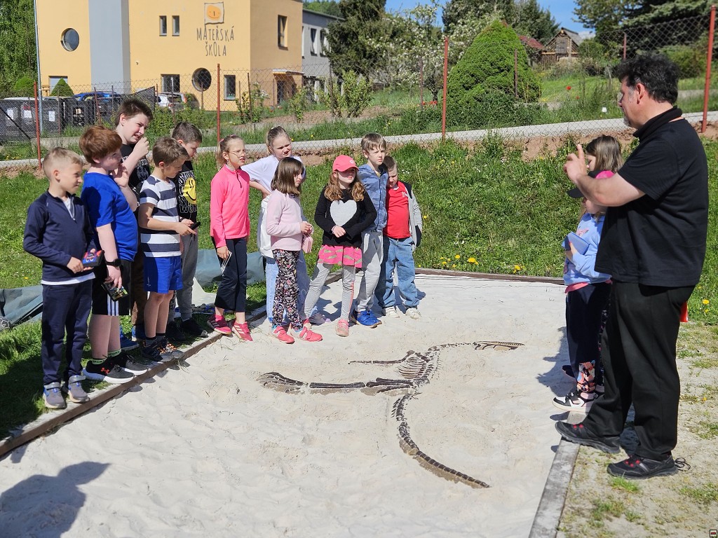 img00010.jpg