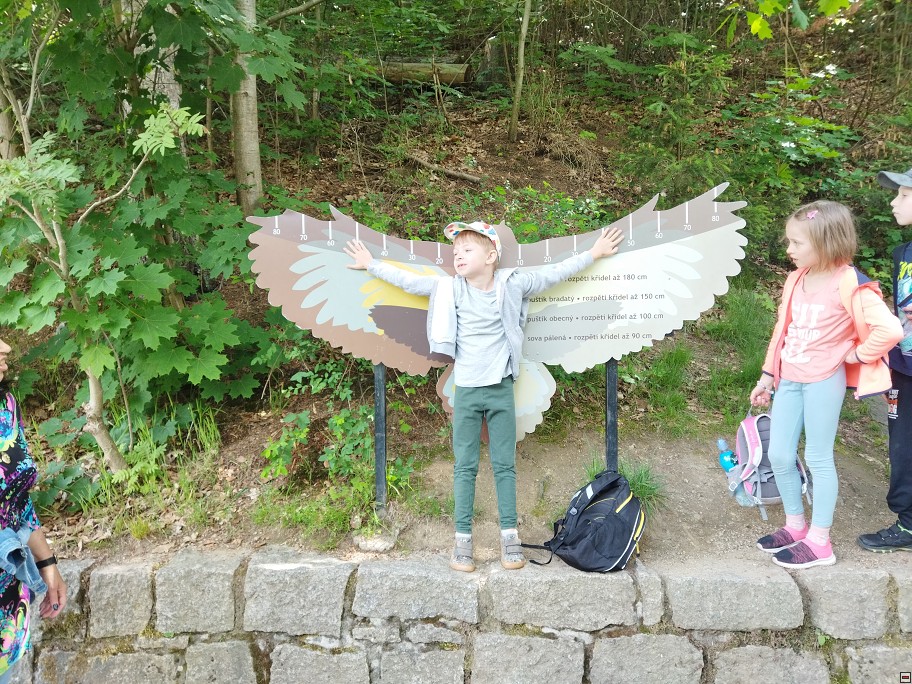 img00052.jpg